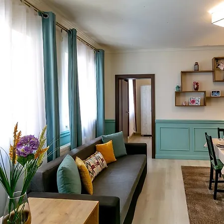 Apartment Smart Sighisoara